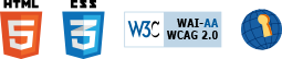 validação WCAG 2.0