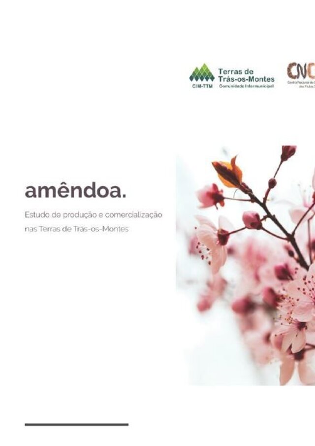 amendoa