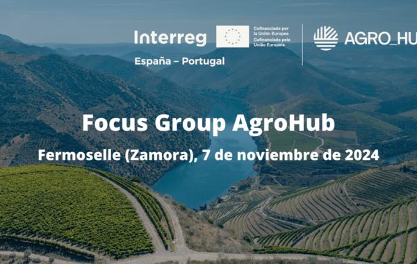 imagen_web_focus_group_agrohub_fermoselle__1___1_