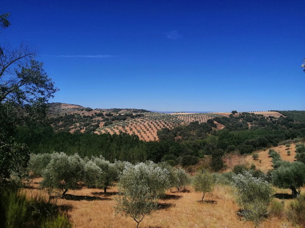 CIM das Terras de Trás-os-Montes reivindica financiamento para estudar o regadio no território 