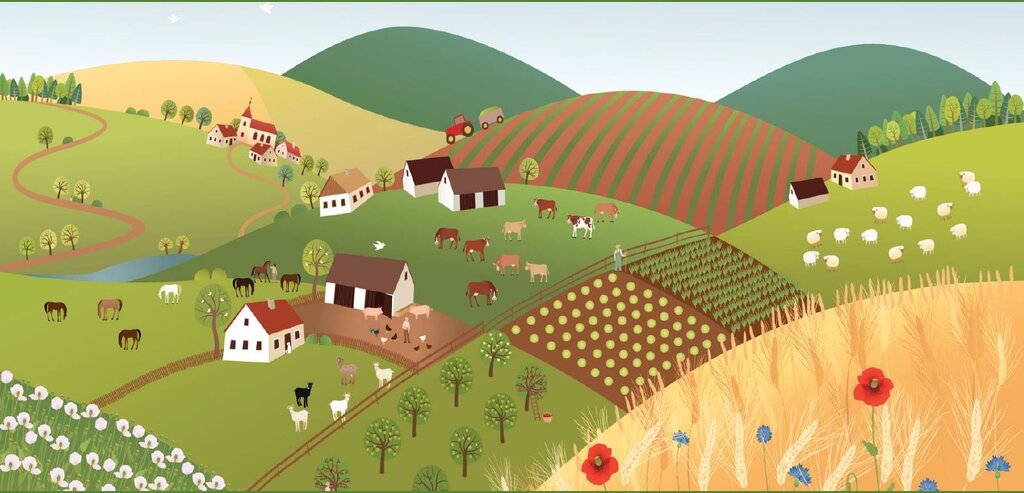 Seminário “AGRISOCIAL: contextos, resultados e caminhos” | 26 setembro 